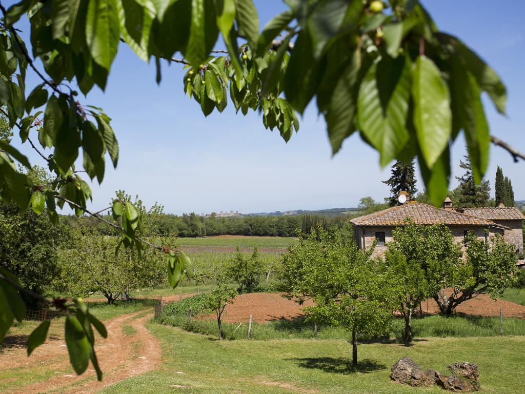 Alloggio per agriturismo Novelleto *
