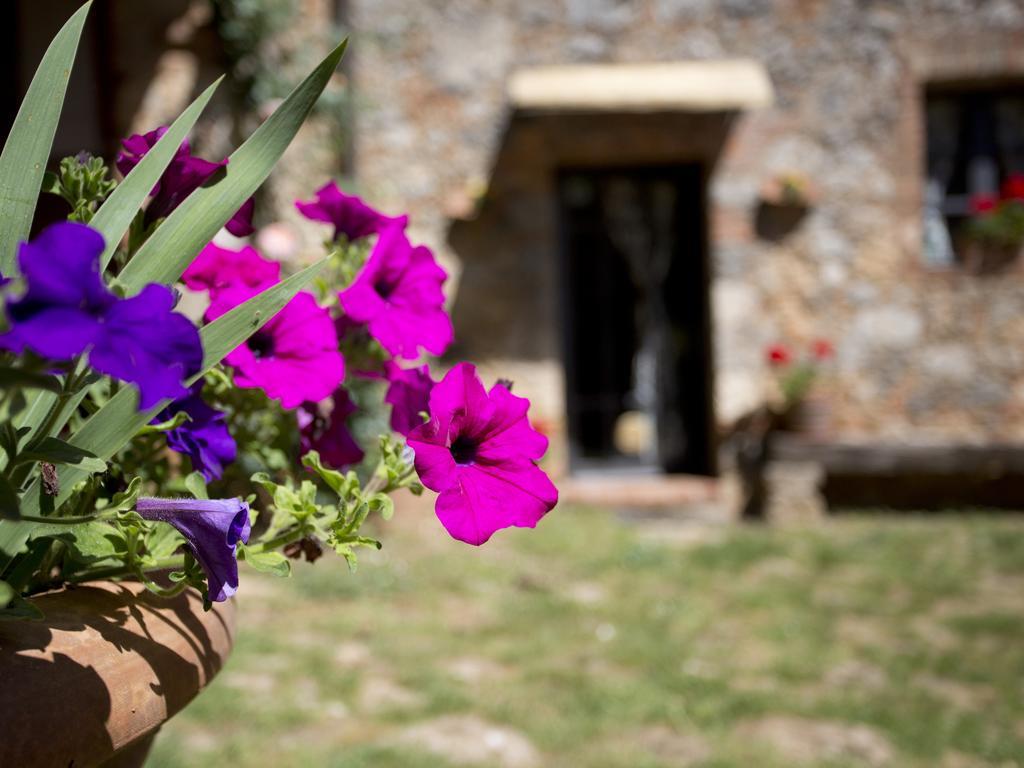 Novelleto * Monteriggioni