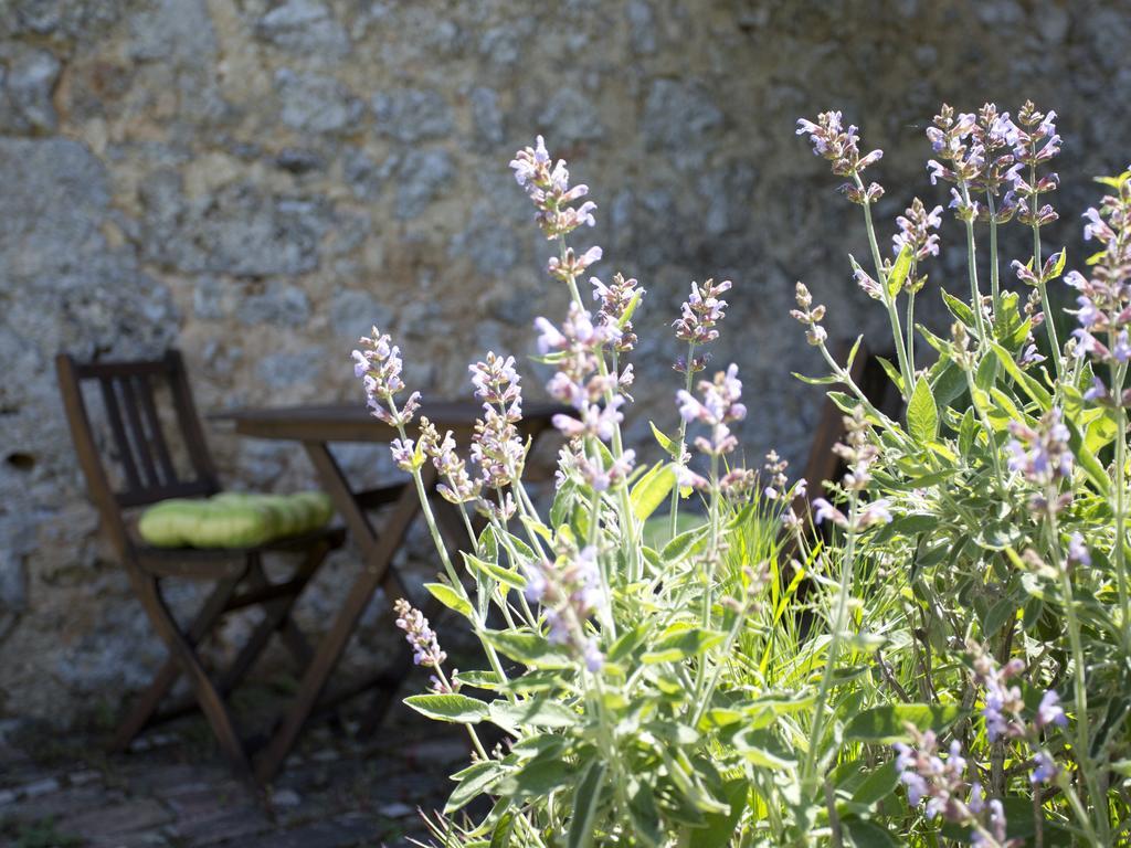 Novelleto Alloggio per agriturismo