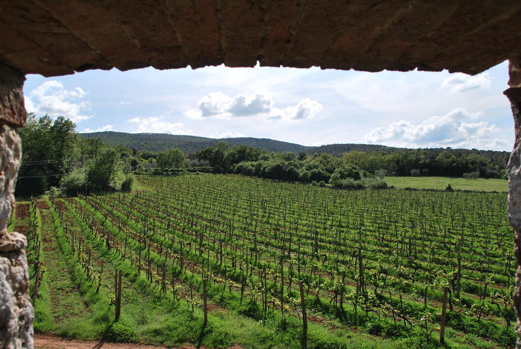Farm stay Novelleto