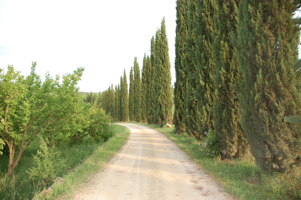 Novelleto Monteriggioni