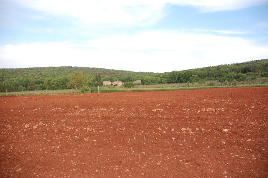 Farm stay Novelleto