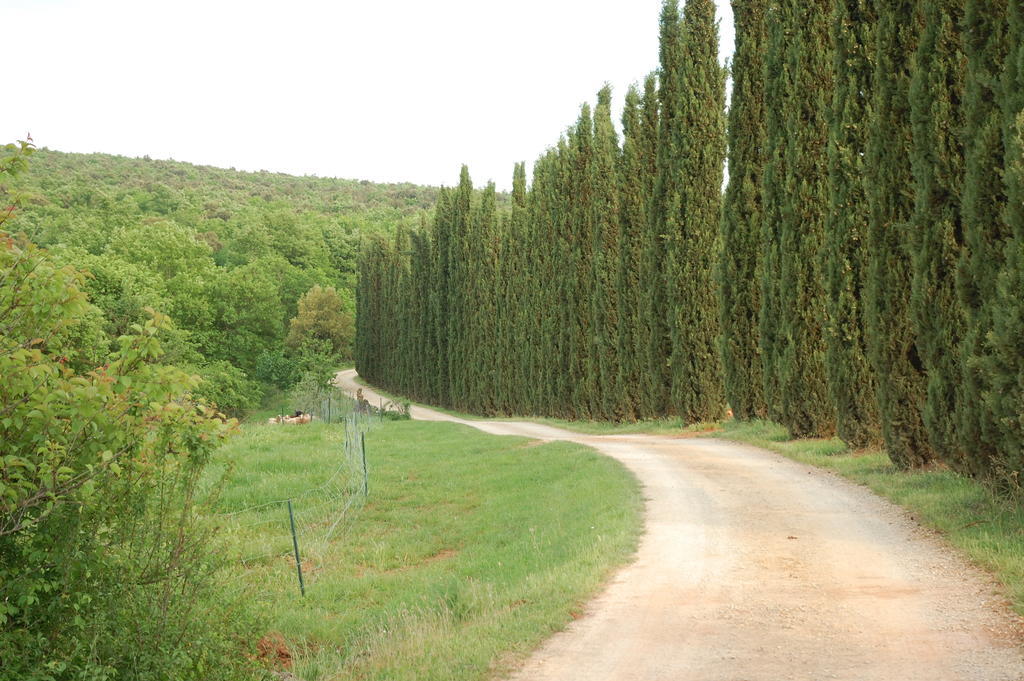 Farm stay Novelleto Monteriggioni