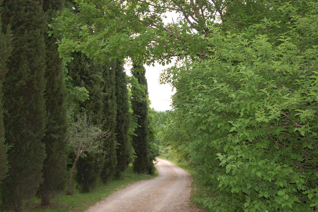 Novelleto Farm stay