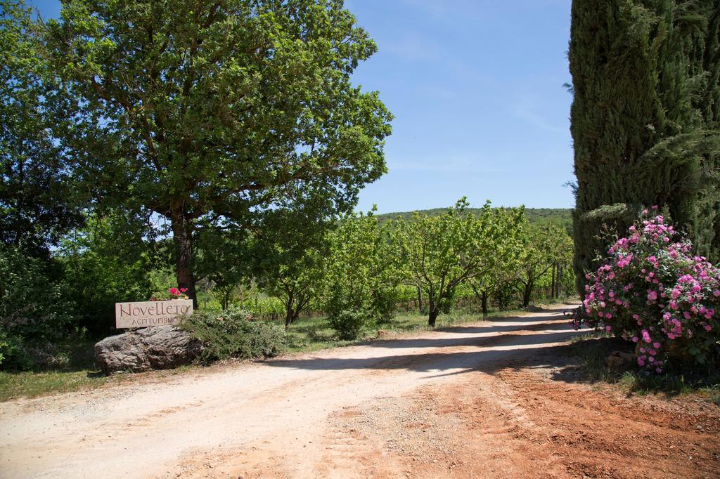 Novelleto Farm stay *